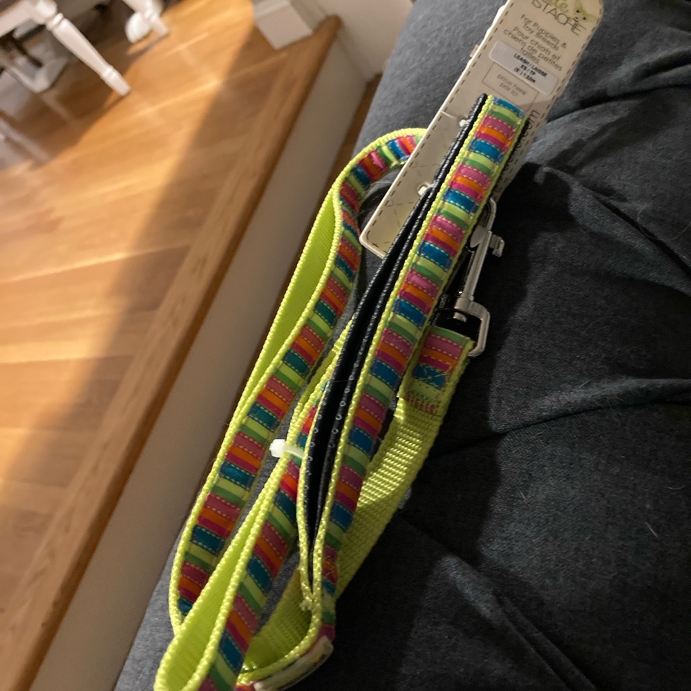 Colorful 🌈 xs 5ft leash 🐶💗